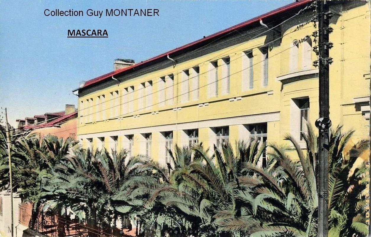 Mascara 019- Collection Montaner_2.JPG